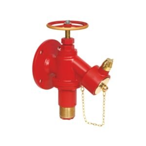 Controlled Pressure Hydrant Valve